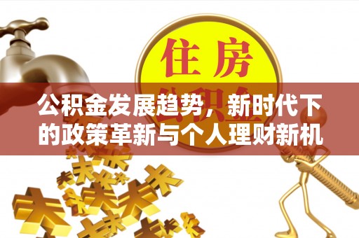 青田公积金发展趋势，新时代下的政策革新与个人理财新机遇