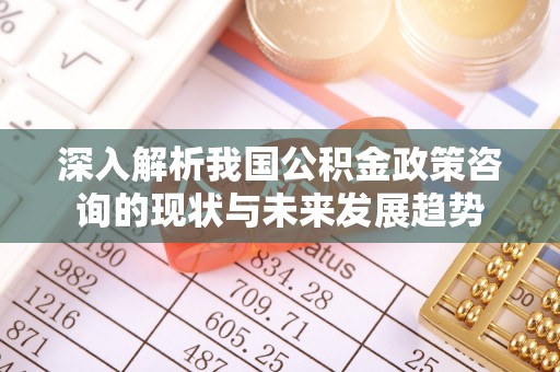 青田深入解析我国公积金政策咨询的现状与未来发展趋势
